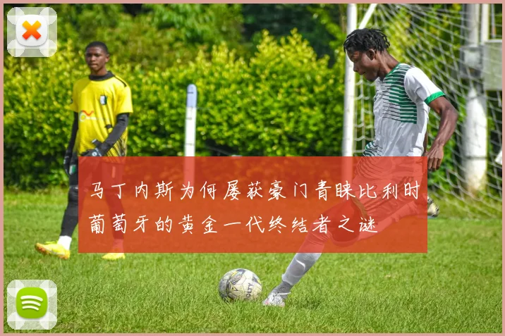 马丁内斯为何屡获豪门青睐比利时葡萄牙的黄金一代终结者之谜